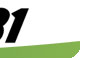 logo Eco Pneus 31